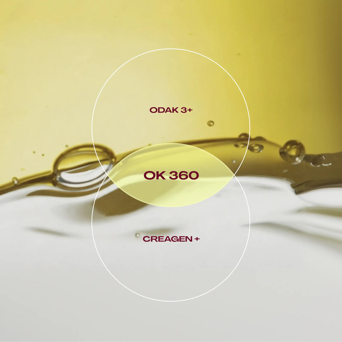 Schéma de deux cercles superposés sur un fond mêlant huile dorée et eau : ODAK 3+ dans le cercle côté huile, Creagen+ dans le cercle côté eau, et OK 360 à leur intersection