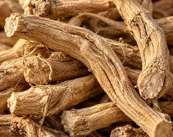 Ashwagandha bio (KSM-66®)