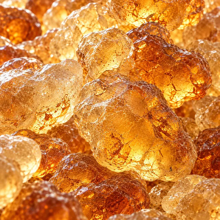 Close-up of translucent amber pieces with rounded, crackled shapes, backlit