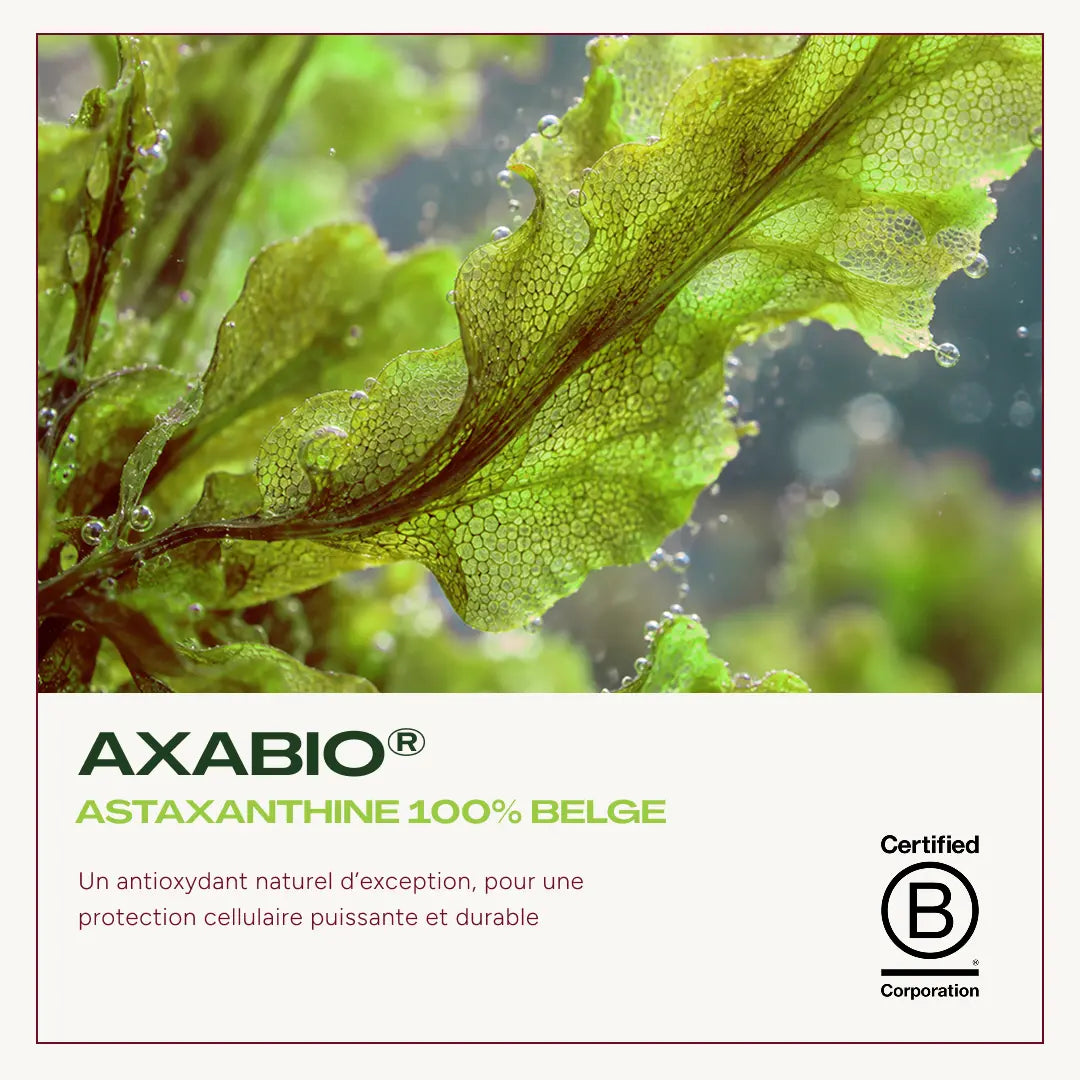Algue verte sous l’eau entourée de bulles. Texte : « Axabio® – Astaxanthine 100 % belge. Un antioxydant naturel d’exception, pour une protection cellulaire puissante et durable ». Logo Certified B Corporation