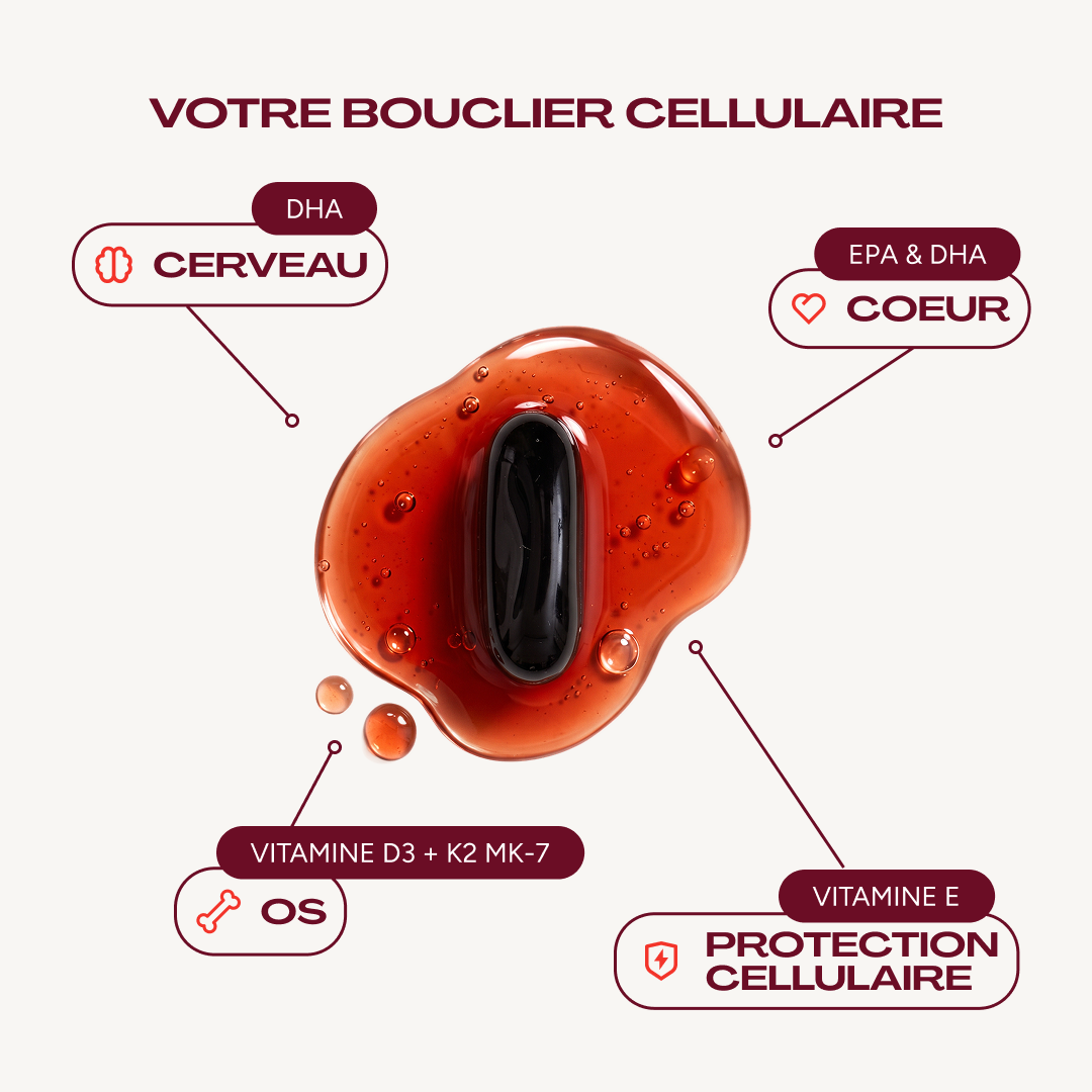 Capsule souple ODAK 3+ posée dans une goutte d’huile ambrée, reliée à quatre mentions. Texte : « Votre bouclier cellulaire. DHA : cerveau. EPA et DHA : cœur. Vitamine D3 + K2 MK-7 : os. Vitamine E : protection cellulaire »