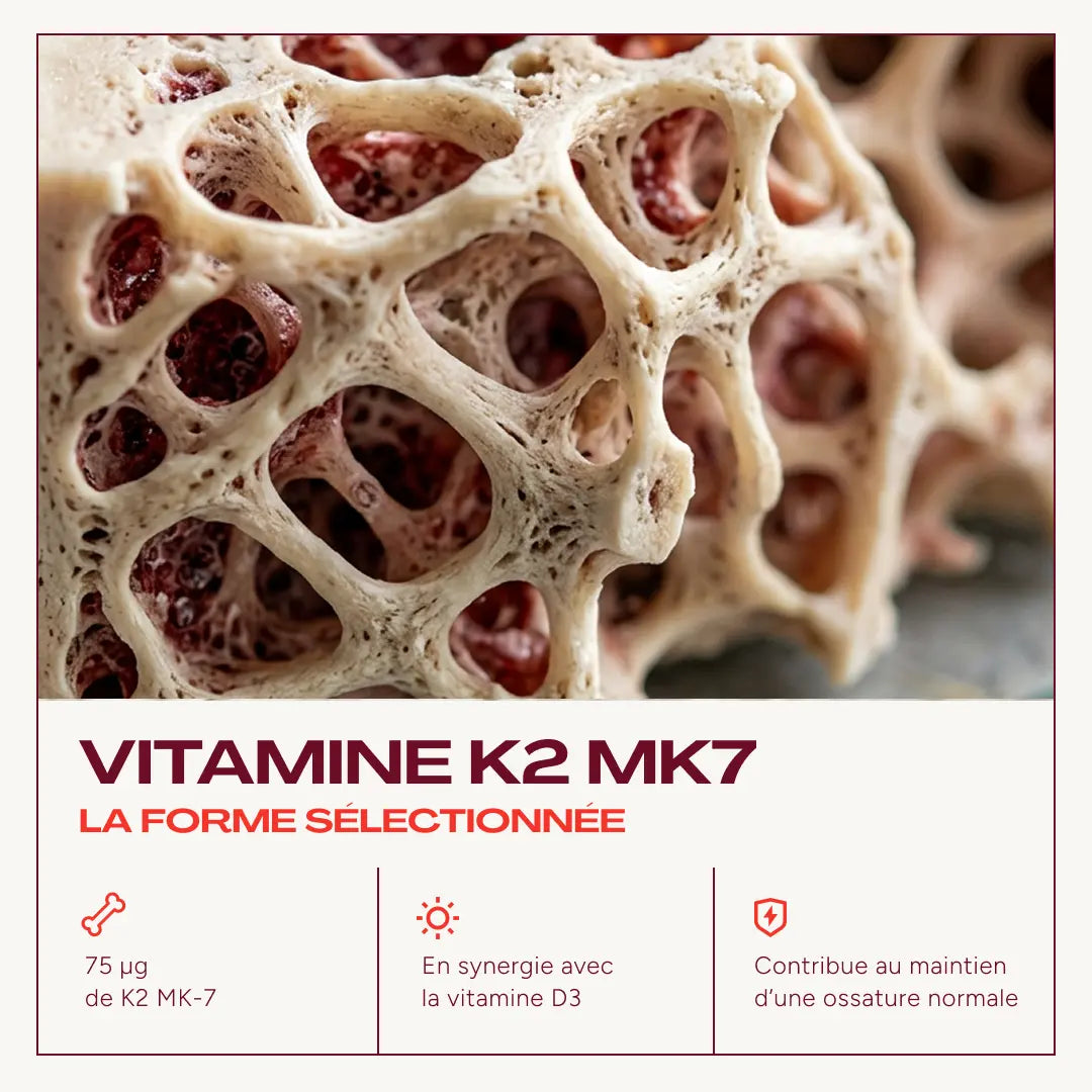 Vitamine K2 MK-7 (75 µg) d'ODAK 3+ par Odakare, en synergie avec la vitamine D3, illustrée par un gros plan de tissu osseux