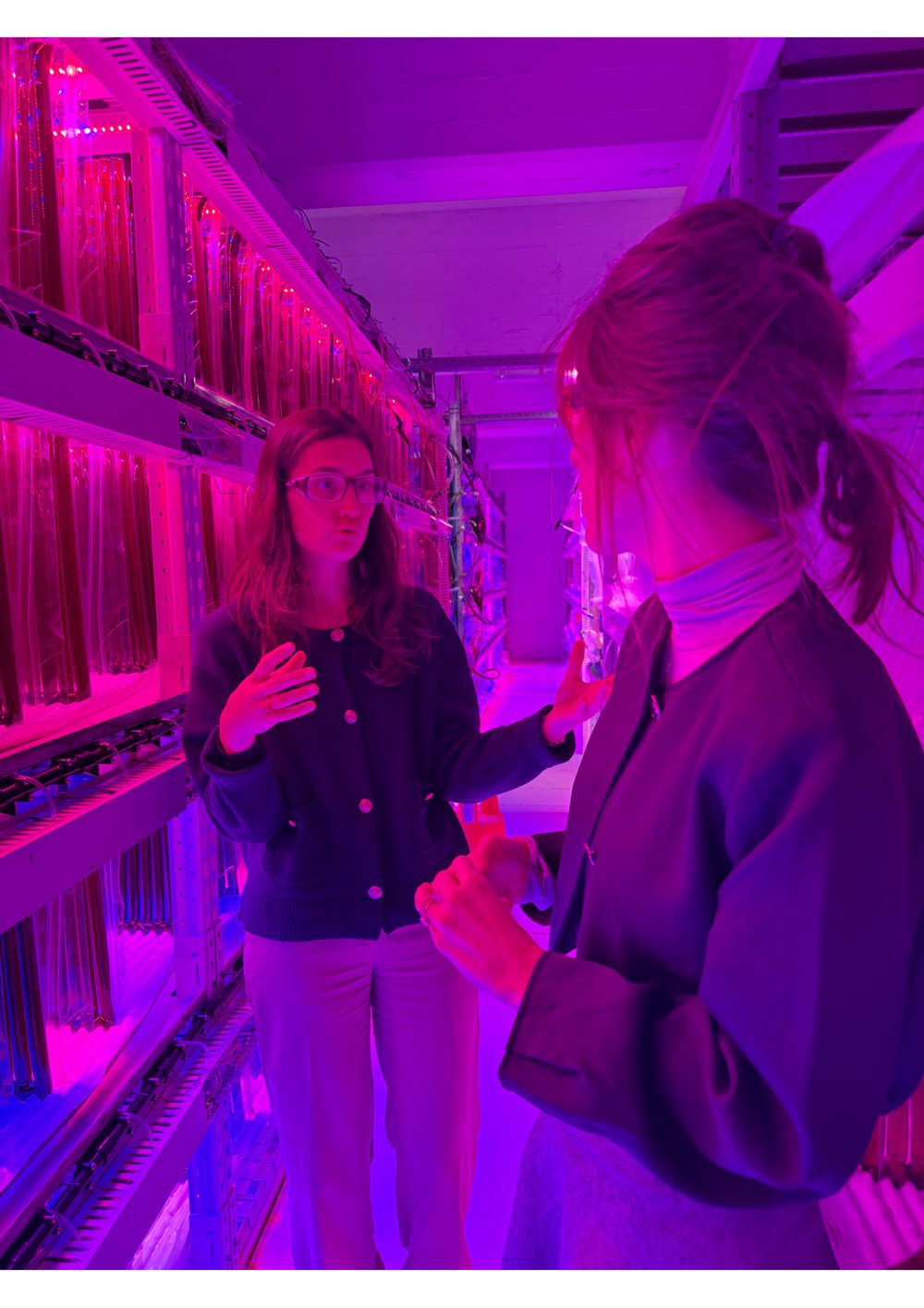 Sophie Cambron, fondatrice d’Odakare, en échange avec une interlocutrice entre des rangées de photobioréacteurs éclairés en rose et violet, où sont cultivées des microalgues